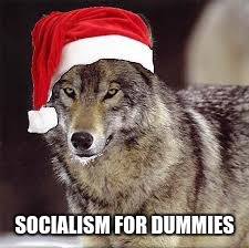 Socialism for dummies