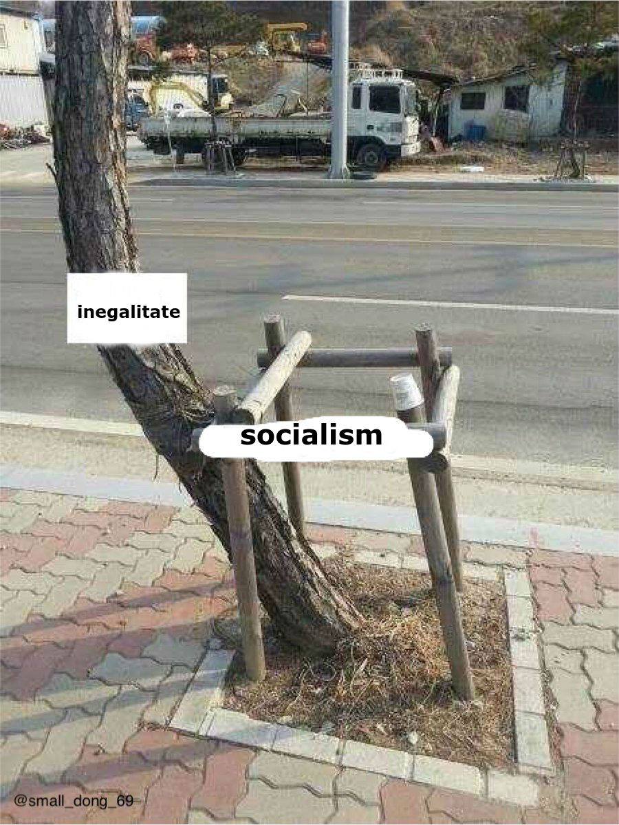 Socialism vs inegalitate