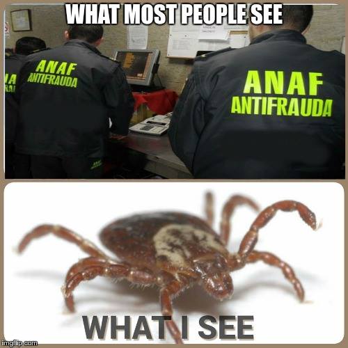 What most people see: ANAF Antifraudă. What I see: Căpușă