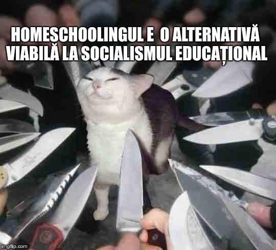 Homeschoolingul e o alternativă viabilă la socialismul educațional